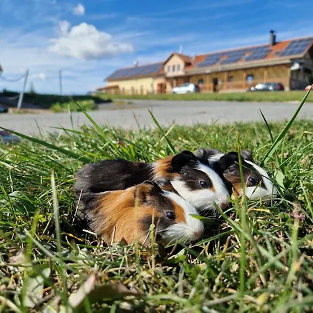 Galloway Farma - Country Relax 3* Roupov