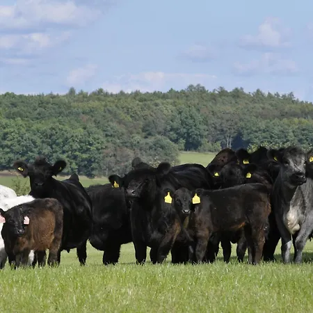 Galloway Farma - Country Relax Roupov