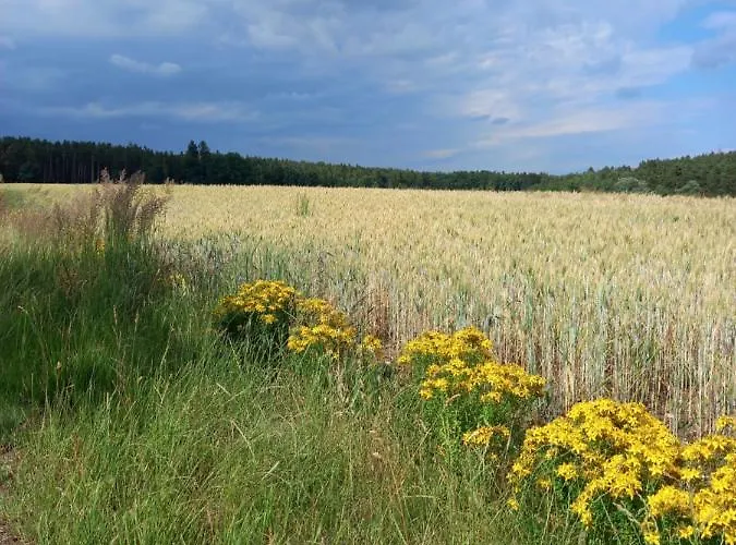 Country Relax