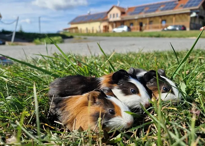 Country Relax 3* Roupov